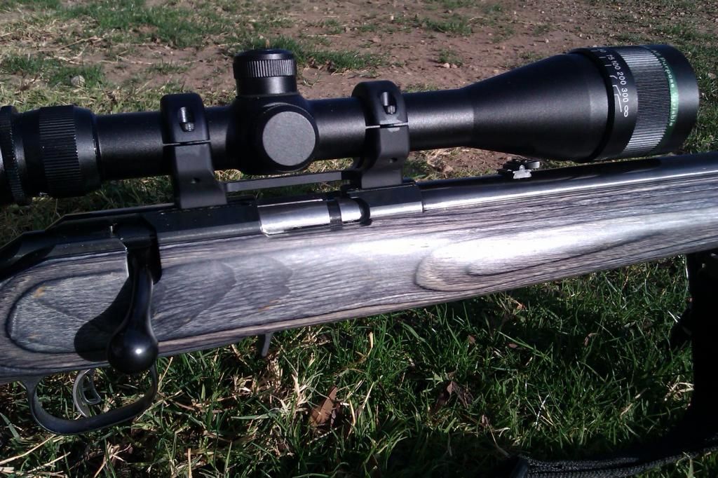 Scope mounting hardware for American Rimfire 22lr Ruger Forum